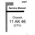 SEG 11AK46 CHASSIS Instrukcja Serwisowa
